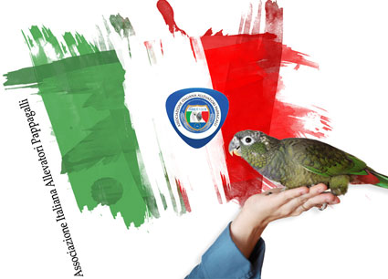 bandiera aiap